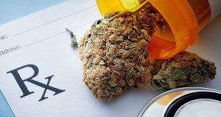 Marijuana Breakthrough: Medical Treatment with Cannabis